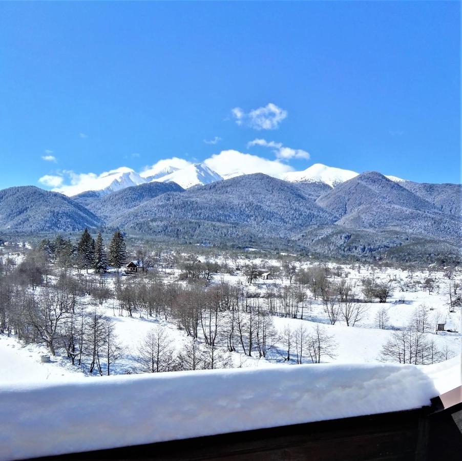Mountainview Ski, & Thermal Apartment *