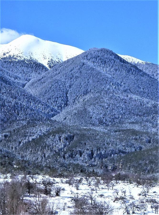 Mountainview Ski, & Thermal