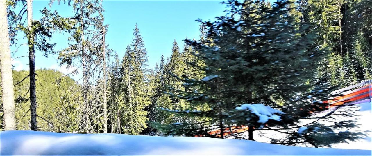 Apartment Mountainview Ski, & Thermal